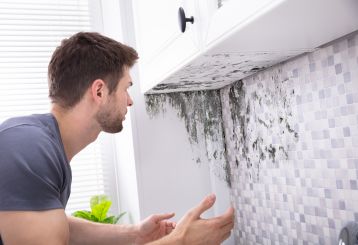 How to Deal with Mold in Your Home | Drywall Repair Rosemead CA