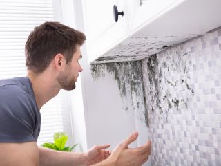 How to Deal with Mold in Your Home | Rosemead CA