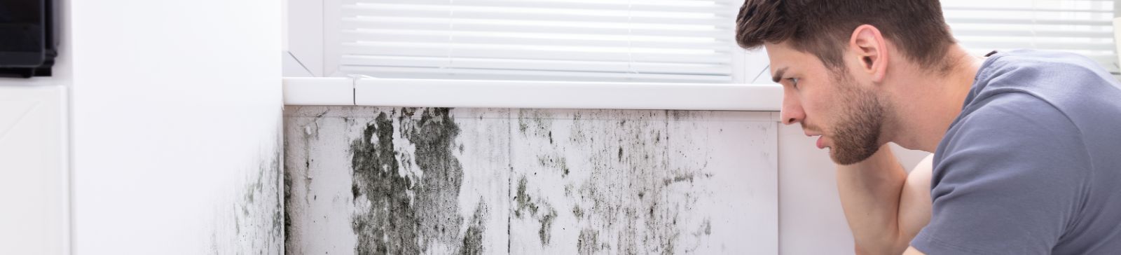 How to Deal with Mold in Your Home